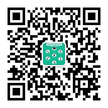 深圳消殺公司聯系方式